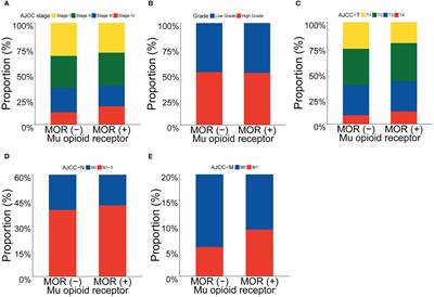 Mu opioid receptor mRNA overexpression predicts poor prognosis among 18 common solid cancers: A pan-cancer analysis